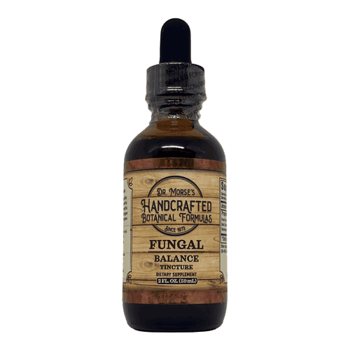 Fungal Balance (2oz Tincture) - HBF