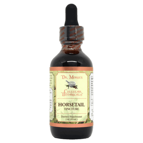Horsetail (2oz Tincture) - DRM