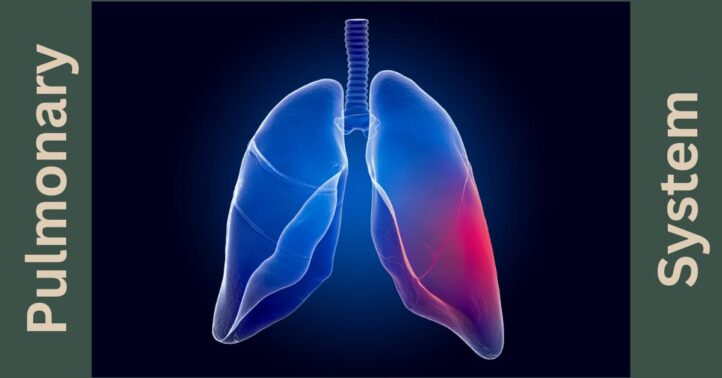 Medical illustration of human lungs and trachea, blue and red coloration on dark background, labeled 'Pulmonary System'